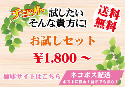 特別価格サイトはこちら