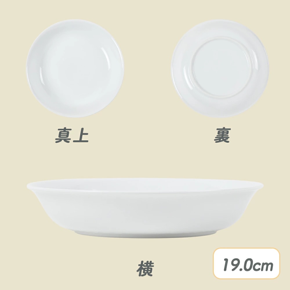 19.0ｃｍ