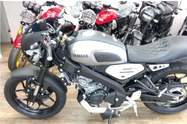 XSR155 CAFE