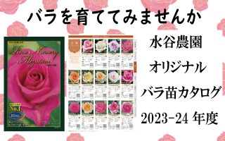 ROSE NURSERY MIZUTANI 有限会社水谷農園｜薔薇苗の生産業者販売サイト