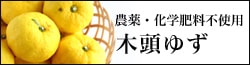 農薬・化学肥料不使用 木頭ゆず