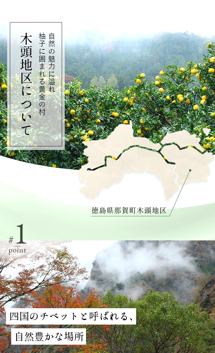 自然の魅力に溢れ 柚子に囲まれる黄金の村 木頭地区について 徳島県那賀町木頭地区 四国のチベットと呼ばれる、自然豊かな場所