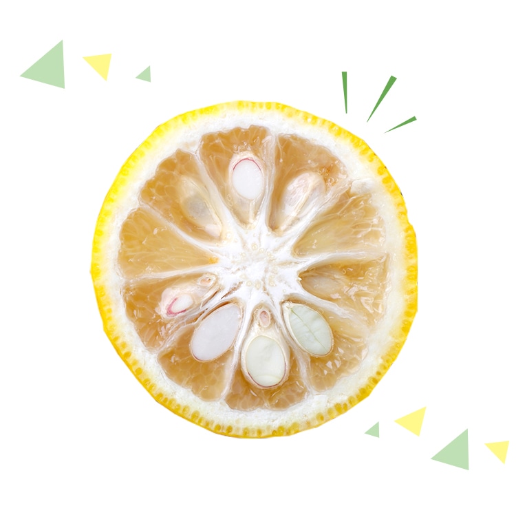 香り高く、健康にも良いとされる柚子。