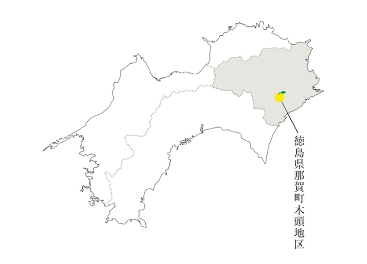 徳島県那賀町木頭地区