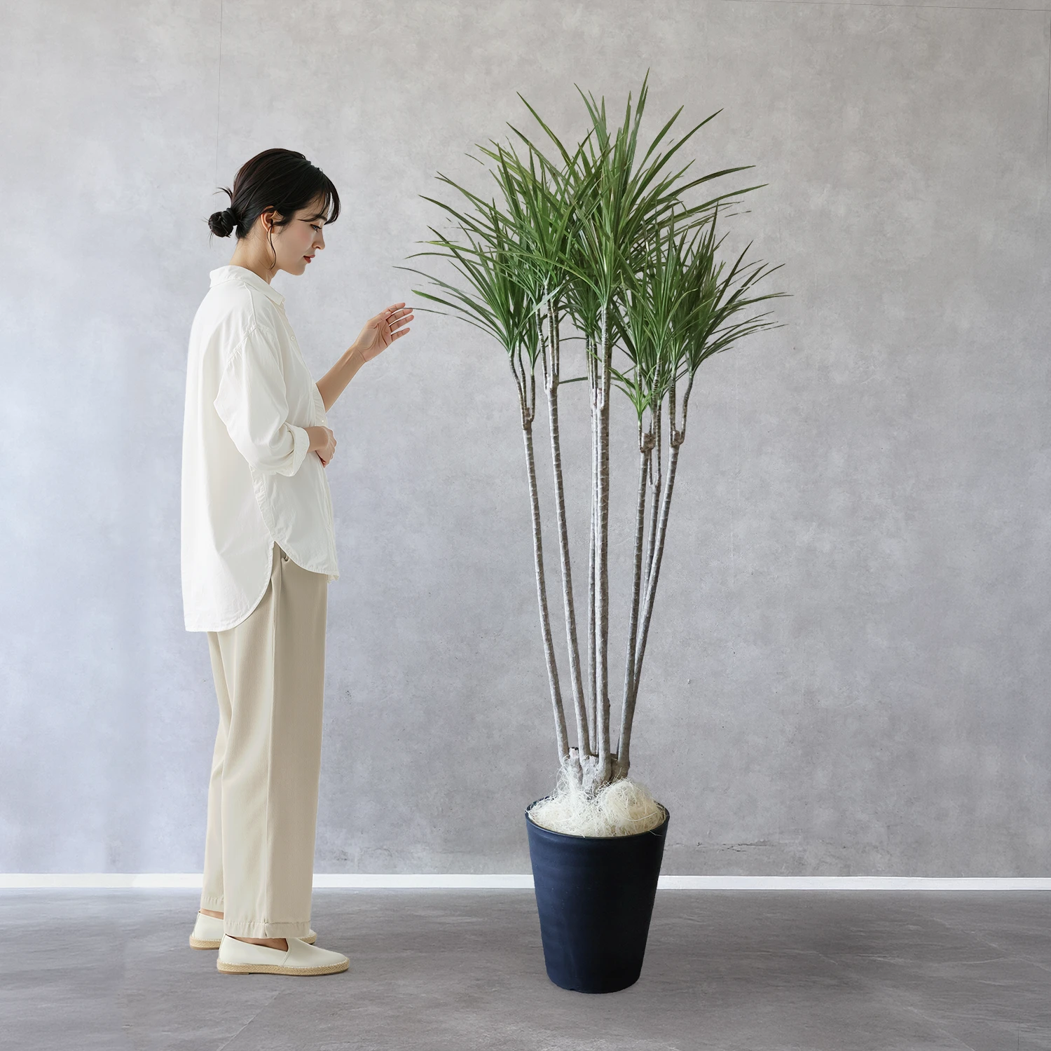 コンシンネ・ホワイトボリー