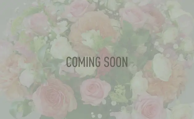 commingsoon