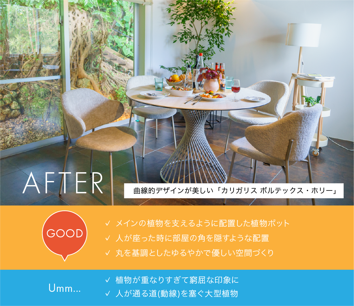 植物配置後(AFTER)のダイニング写真とGOOD/Umm比較チェックリスト