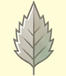 尖った葉のイラスト