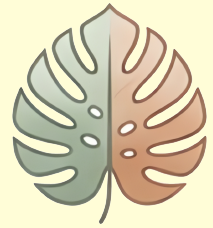 広がる葉(モンステラ)のイラスト