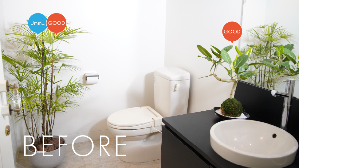 植物配置前(BEFORE)のトイレ写真