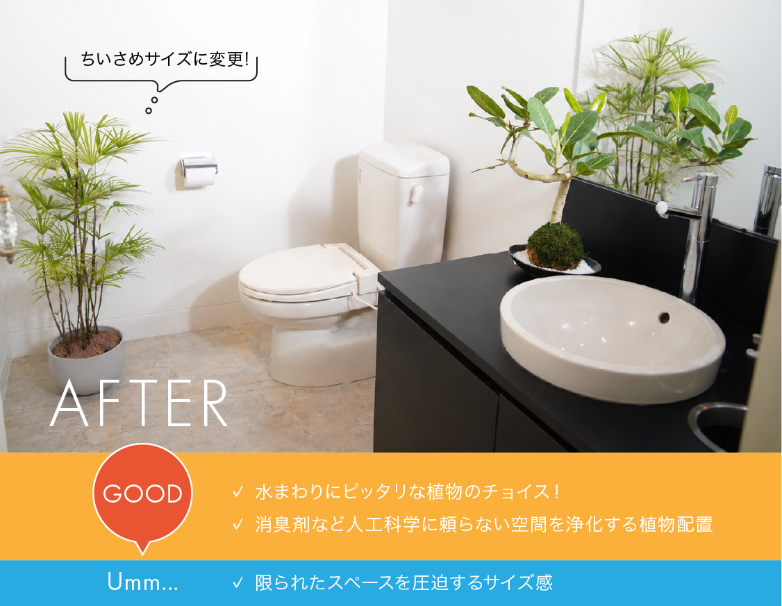 植物配置後(AFTER)のトイレ写真とGOOD/Umm比較チェックリスト