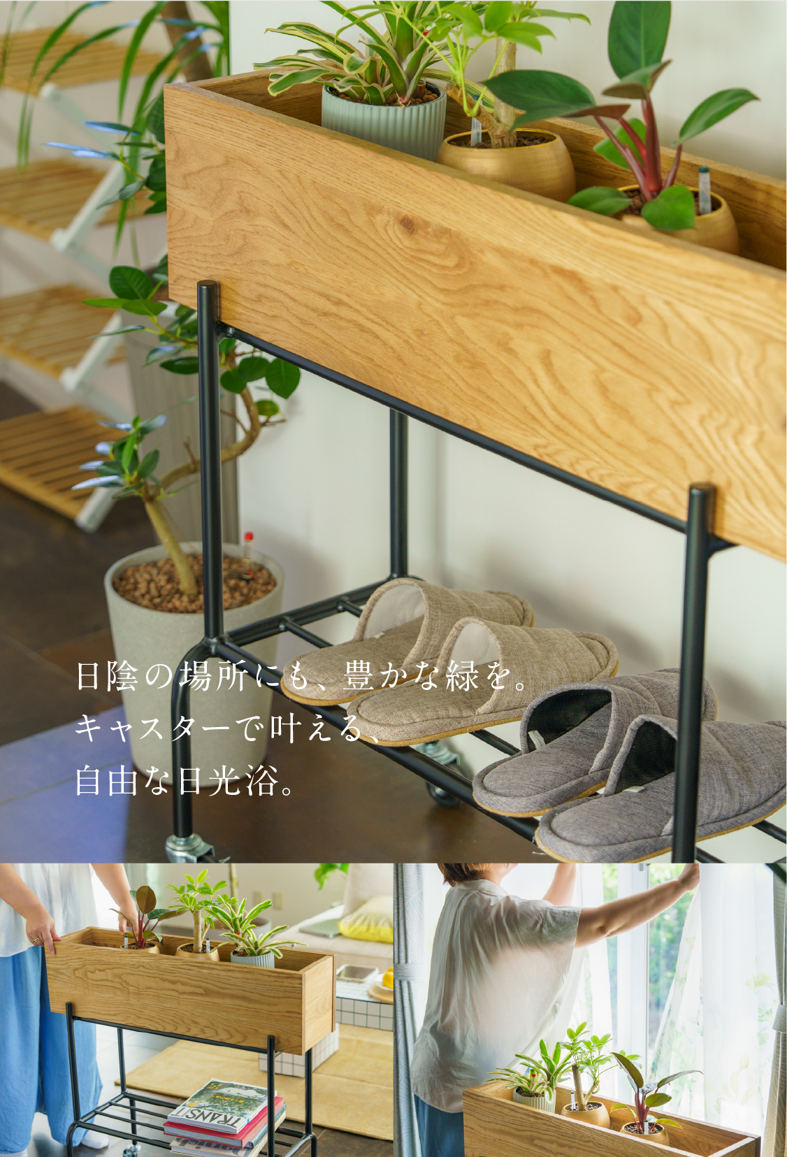 木製の棚に植物を飾ったワークスペースの写真