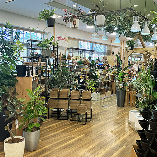 maxplus 店内写真