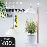 コンセントライト スイッチ付 E12電球用｜HS-LCL12-W 09-1839｜通販