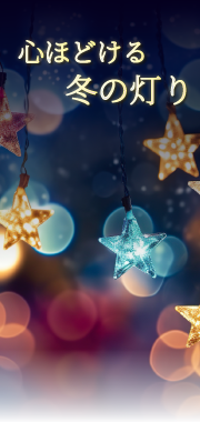  �ߤ�̤����� �ý�