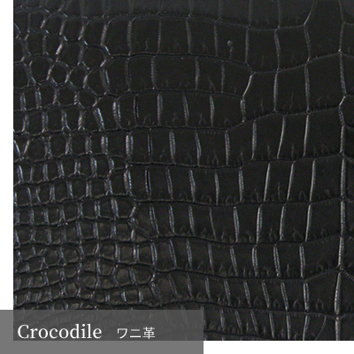 Crocodile˳