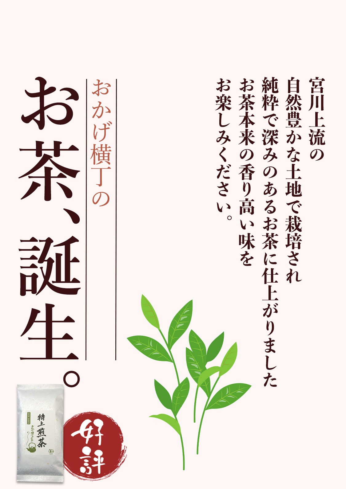 伊勢志摩のお土産ならおかげ横丁公式オンラインショップ
