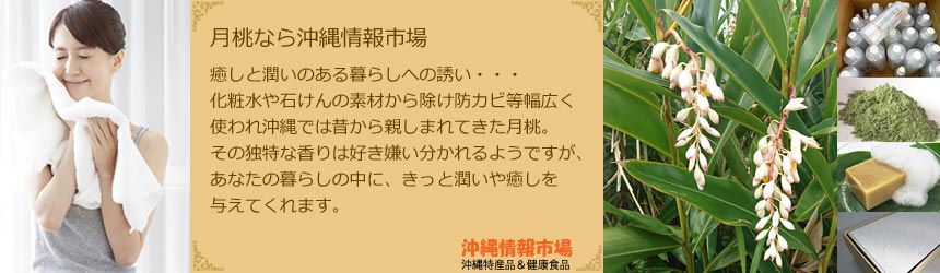 月桃 げっとう とは 月桃商品通販