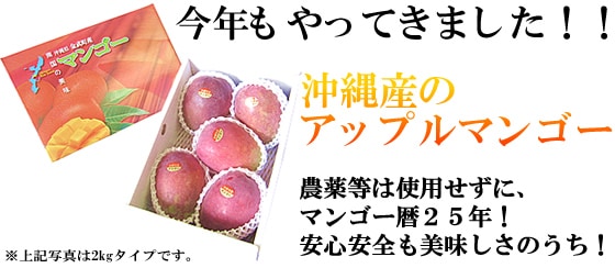沖縄産のアップルマンゴー