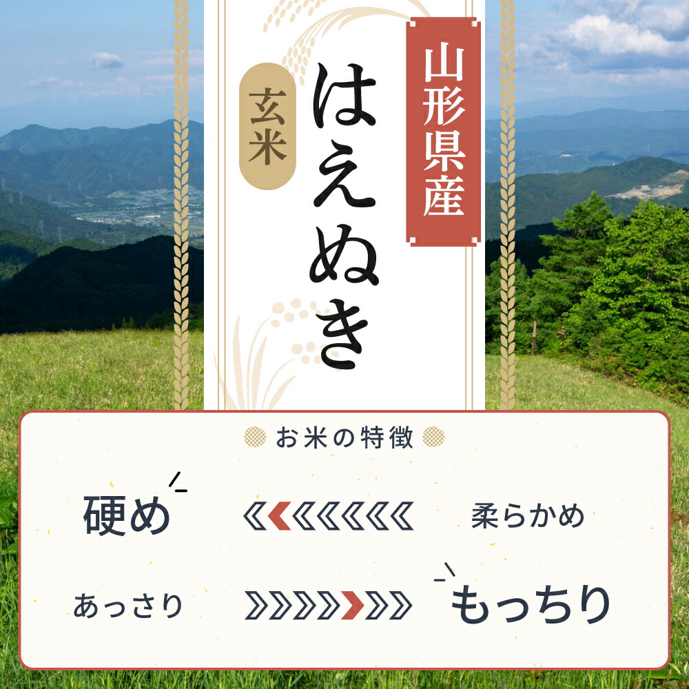 はえぬき