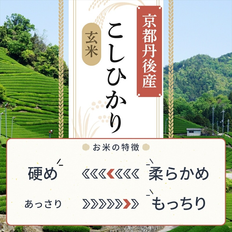 こしひかり