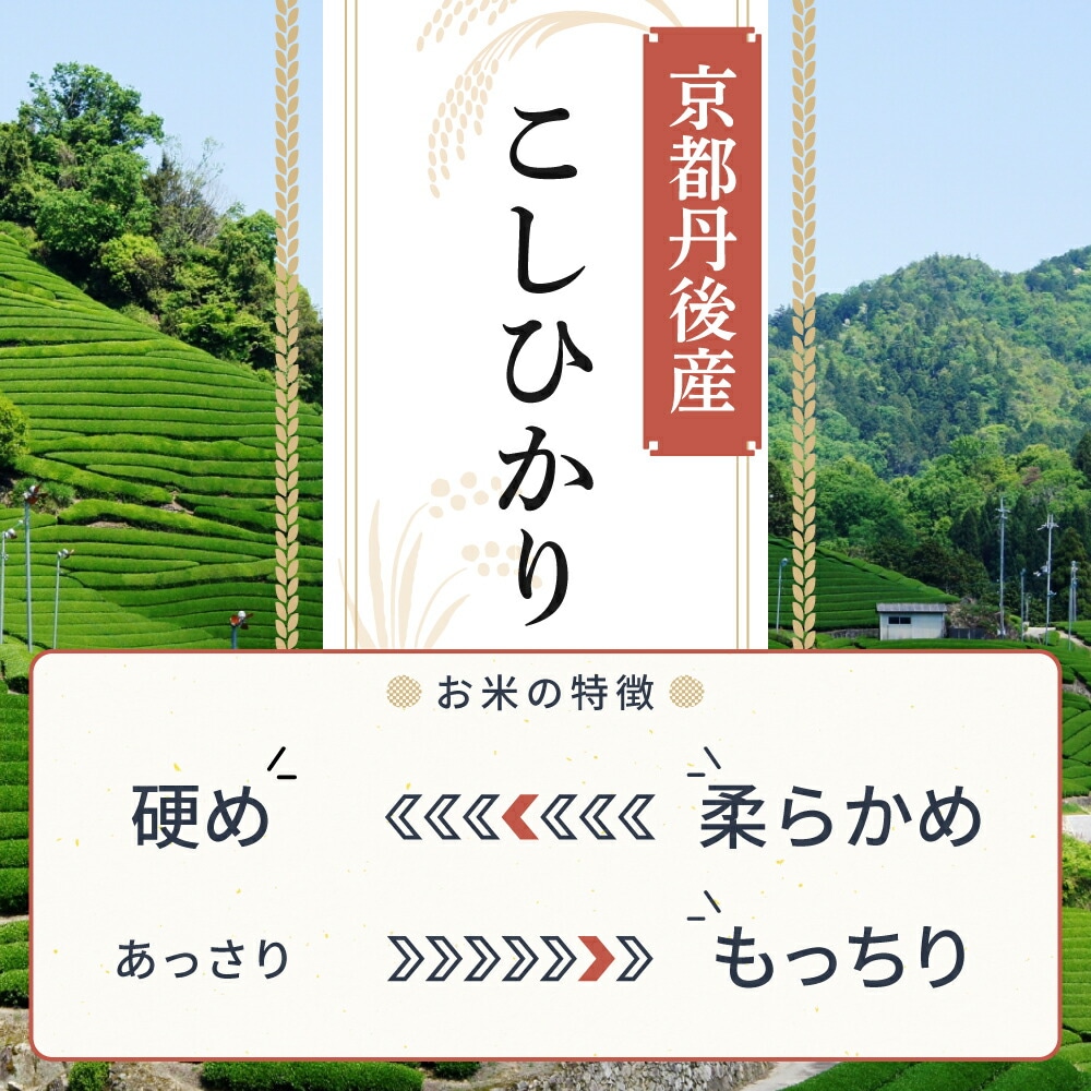こしひかり
