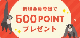 Ͽ500POINTץ쥼