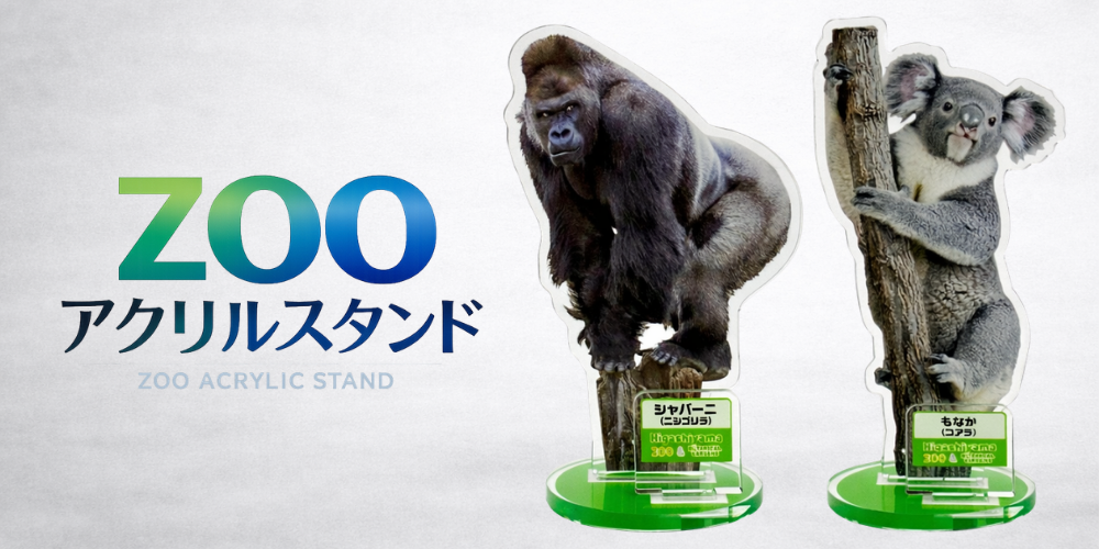 ������륹�����