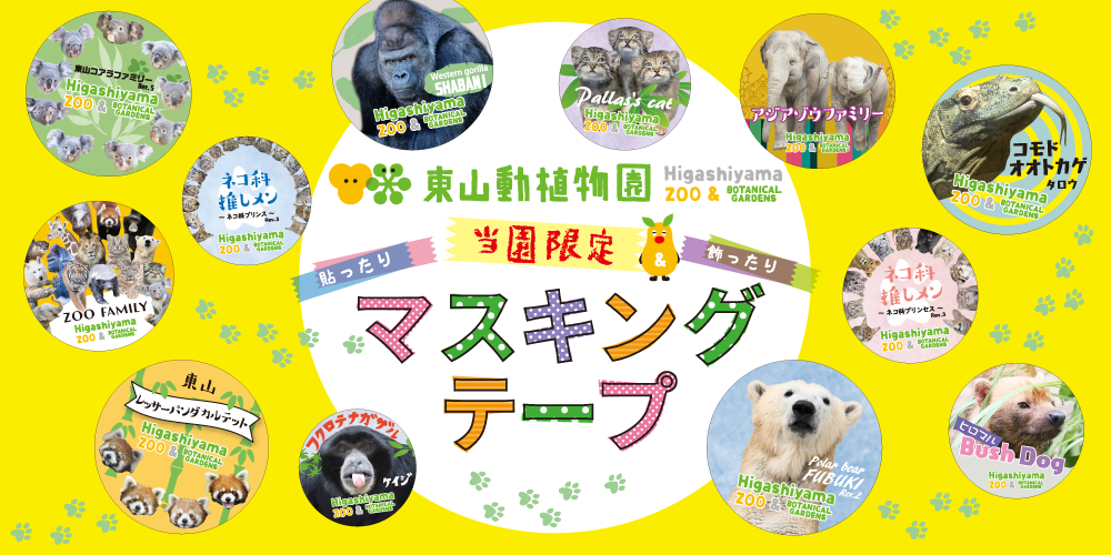 �ޥ����󥰥ơ���