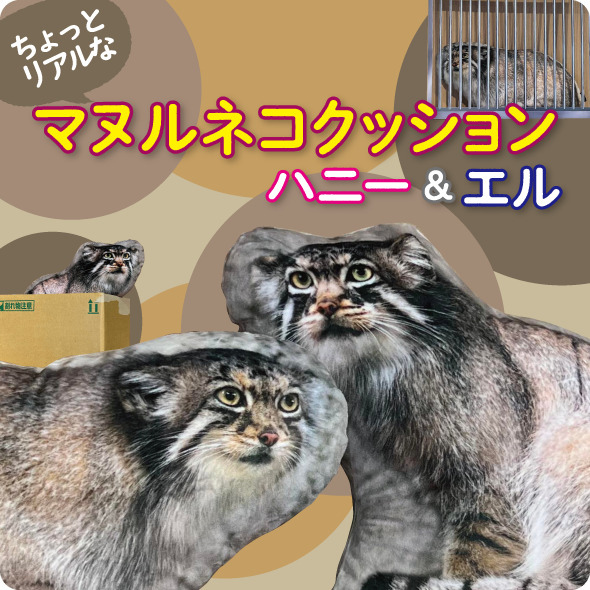 おもむきストア |