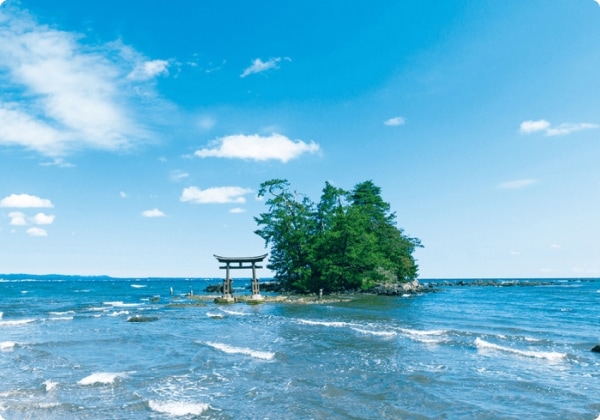 ������� ǽ��Ⱦ��