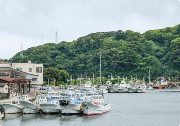 �����ʿ建 �������