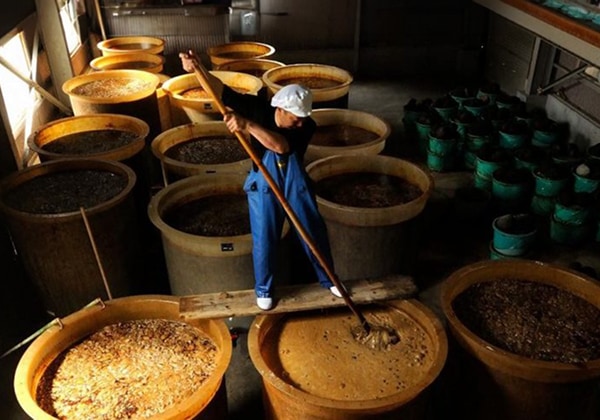 ͭ�²�� ���ͥ���