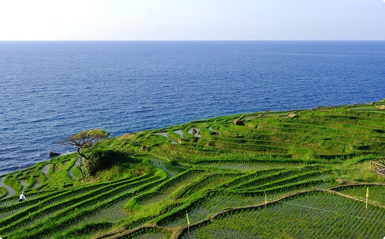 写真：能登の里山里海