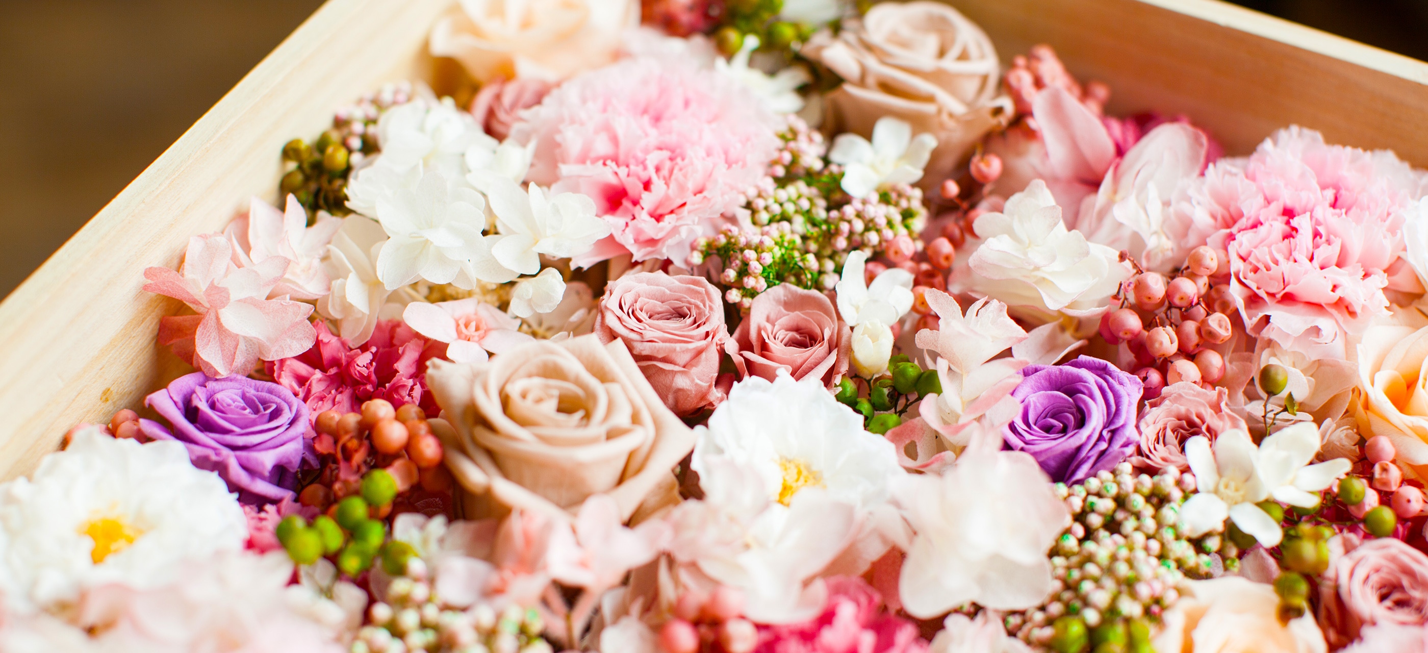 英国花市場コンポート、多肉植物ケース 英国花市場コンポート、多肉植物ケース