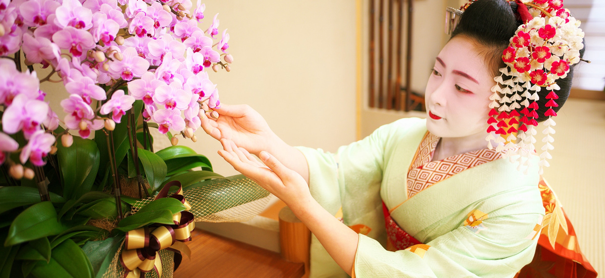 京都 お誂え胡蝶蘭｜胡蝶蘭・フラワーギフト通販の京都花室おむろ