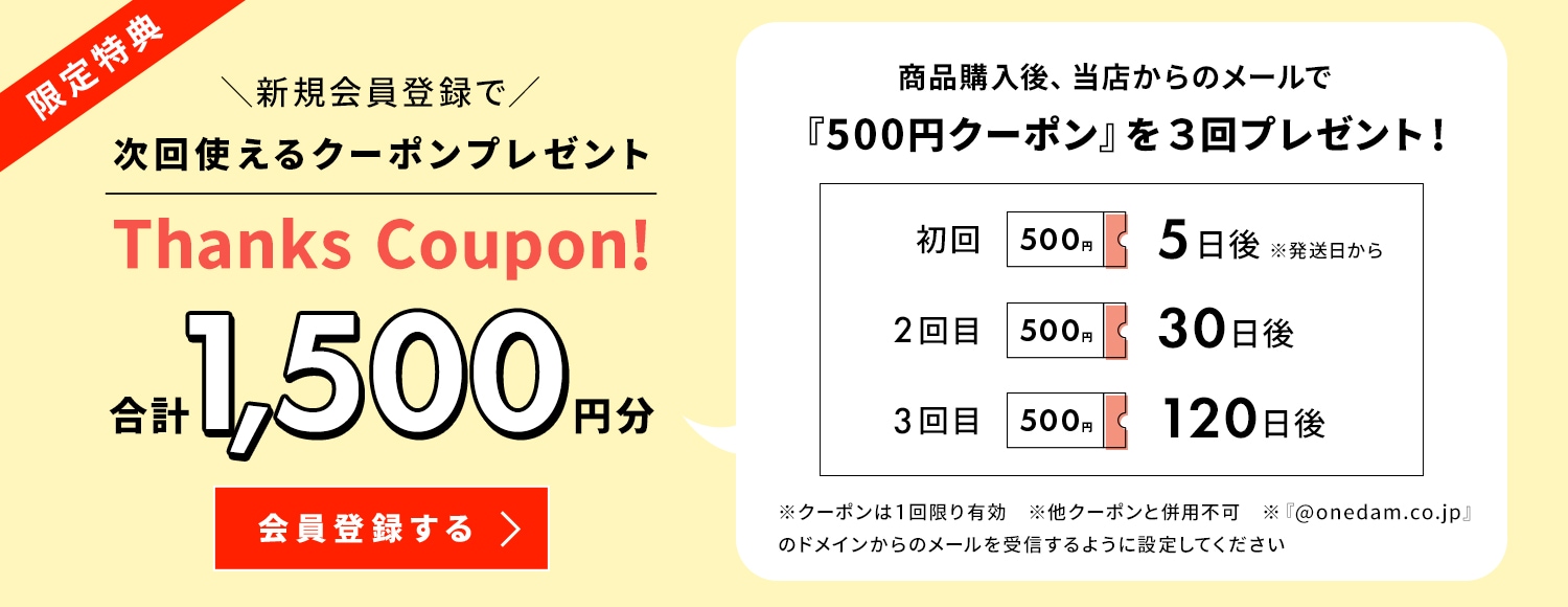 スリム・イオン・アイロン 【AHI-1100OL】 アウトレット新品｜【公式