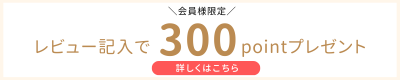 レビュー記入で300ポイント