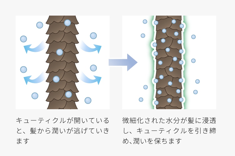 Wコートイオン