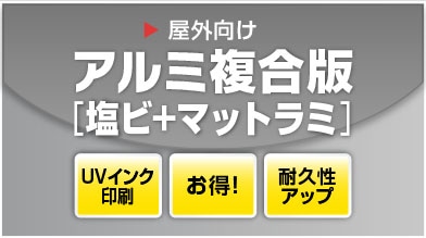 ���ӥ�����˥ޥåȥ�ߥ͡��Ȳù����ƥ����ʣ���Ĥ�