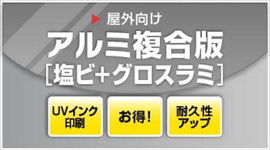 ���ӥ�����ݥ������򥰥�����ߥ͡��Ȳù����ƥ����ʣ���Ĥ�