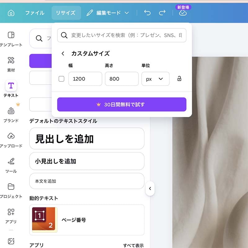Canva�Υ�������ǧ����