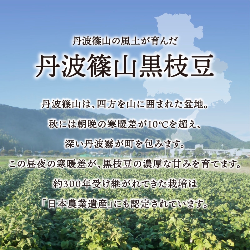 特徴