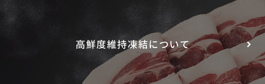 おゝみや最新カタログ