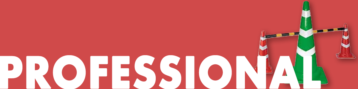 professional-banner
