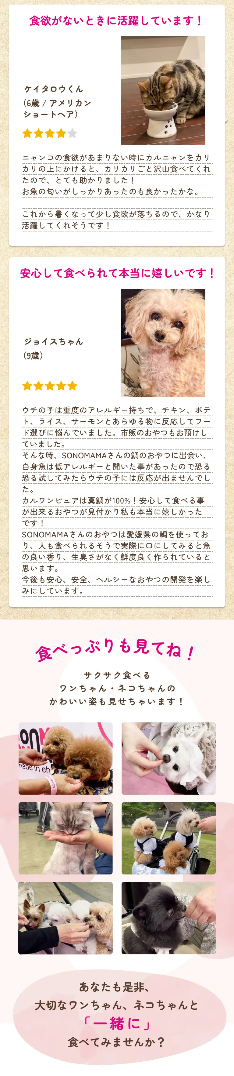 イベントや展示会でのお客様の声やレビューをワンちゃんネコちゃんの食べっぷりとともにご紹介