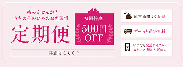 定期便