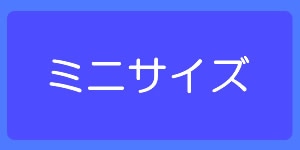 ドライアイスミニサイズ