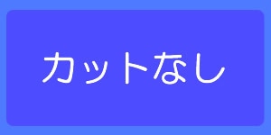 ドライアイスカットなし