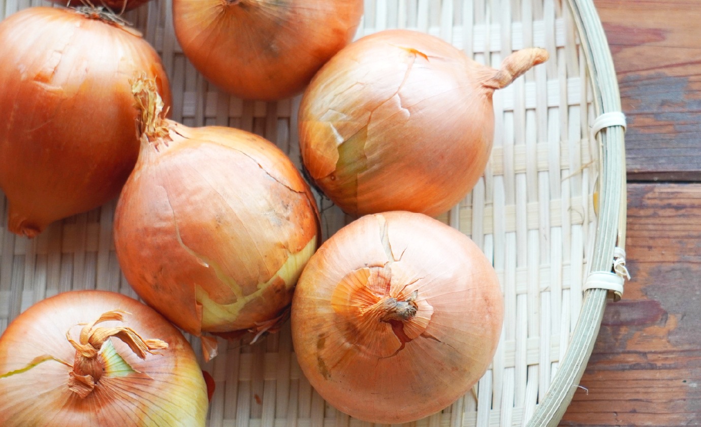 ハンバーグスープセット 公式 俺のec 俺のシリーズお取り寄せオンライン通販ショップ ハンバーグスープセット 公式 俺のec 俺のシリーズお取り寄せオンライン通販ショップ